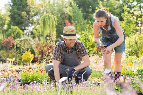 Eco-friendly hedge maintenance practices