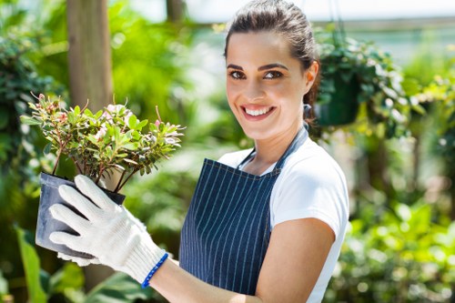 Maintaining a healthy lawn in Lewisham