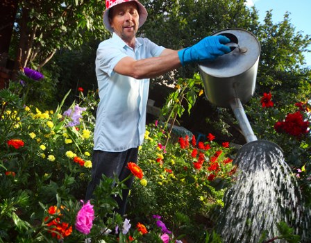 Sustainable gardening practices in Lewisham