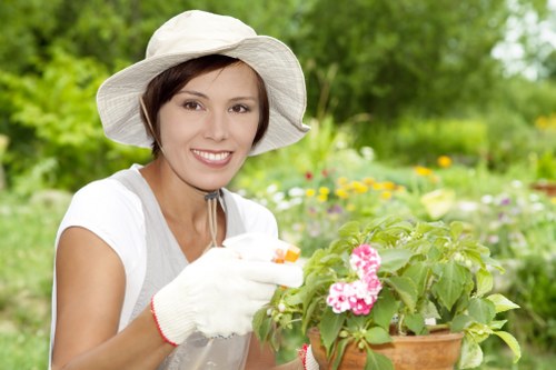 Team of lawn care professionals at work in Lewisham.
