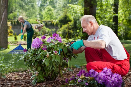 Garden maintenance crew working on a Lewisham lawn