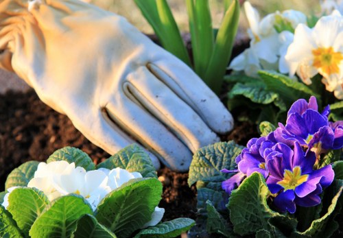 Medium-sized garden being edged and having green waste collected