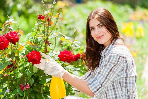 Professional landscaper designing a garden