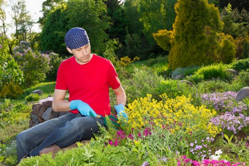 Two-person gardening team loading green waste into a van