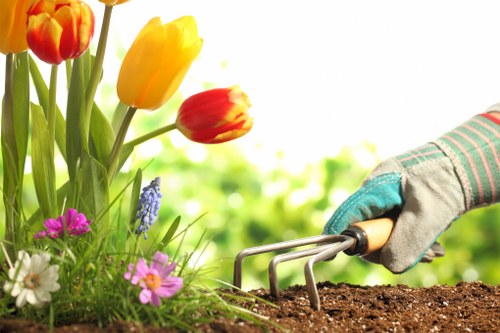 Eco-friendly garden clearance practices in action
