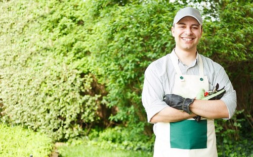 Eco-friendly lawn mowing practices in Lewisham