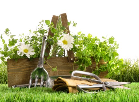 Eco-friendly landscaping elements in Lewisham