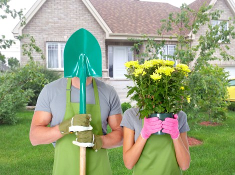 Healthy and vibrant lawn showcasing our mowing services.
