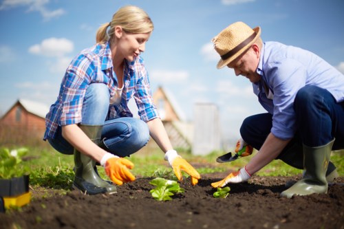Comprehensive lawn mowing services offered