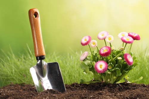 Choosing the right lawn mowing service in Lewisham