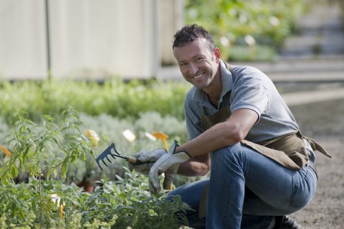 Seasonal lawn maintenance services in Lewisham