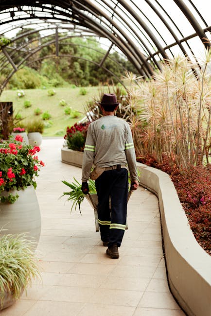 A gardener from lawnmowinglewisham.co.uk is walking along a curved concrete pathway inside a large greenhouse. The gardener, seen from behind, is wearing a hat, a grey long-sleeved shirt with reflecti