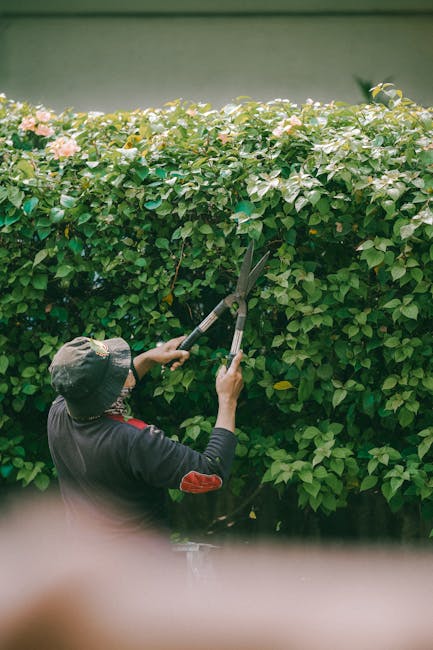 A gardener from lawnmowinglewisham.co.uk is walking along a curved concrete pathway inside a large greenhouse. The gardener, seen from behind, is wearing a hat, a grey long-sleeved shirt with reflecti